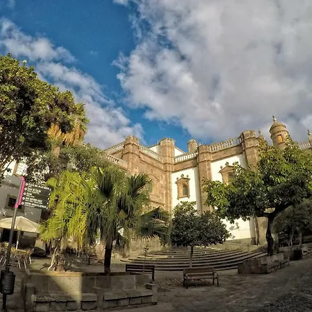 Catedral 52